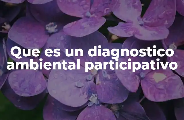 Que es un Diagnostico Ambiental Participativo