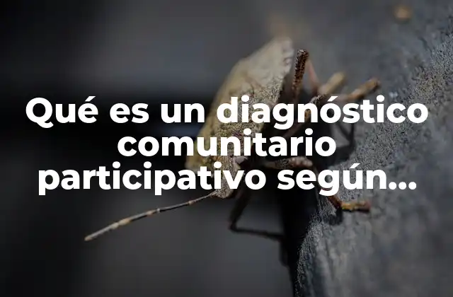 Qué es un Diagnóstico Comunitario Participativo según Autores