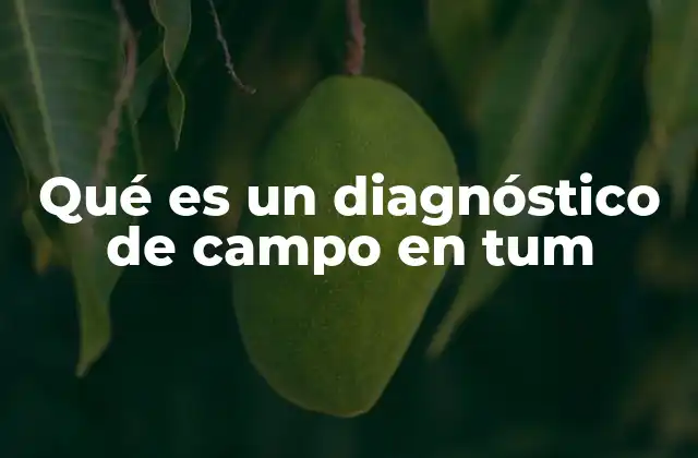 Qué es un Diagnóstico de Campo en Tum