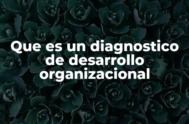 Que es un Diagnostico de Desarrollo Organizacional