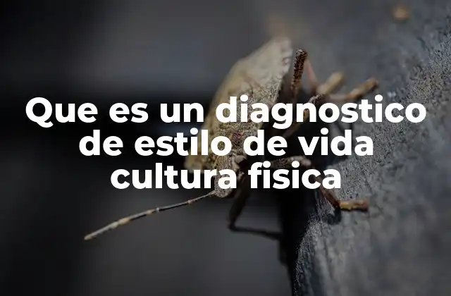 Que es un Diagnostico de Estilo de Vida Cultura Fisica