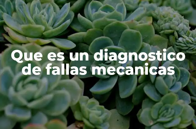 Que es un Diagnostico de Fallas Mecanicas
