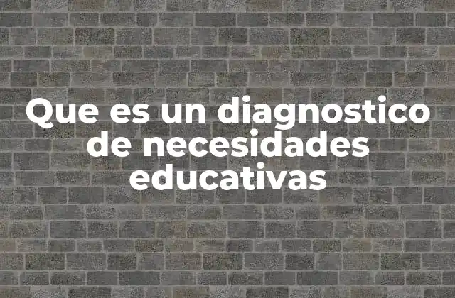 Que es un Diagnostico de Necesidades Educativas