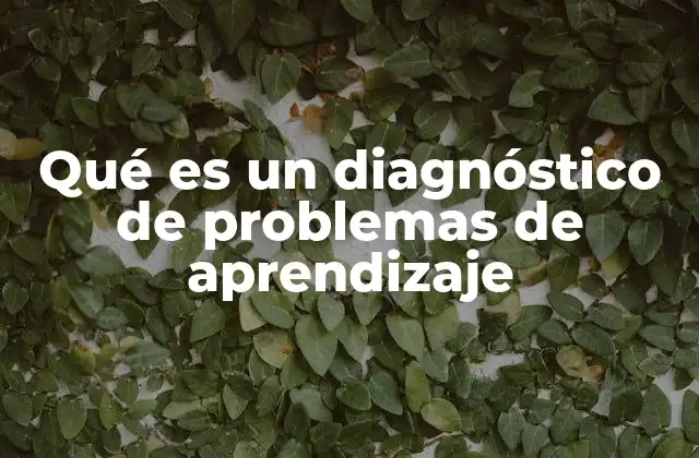 Qué es un Diagnóstico de Problemas de Aprendizaje