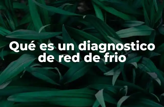 Qué es un Diagnostico de Red de Frio