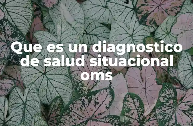 Que es un Diagnostico de Salud Situacional Oms