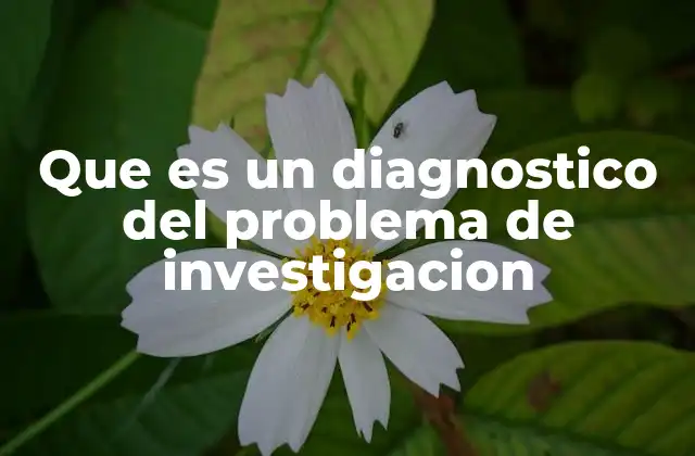 Que es un Diagnostico Del Problema de Investigacion