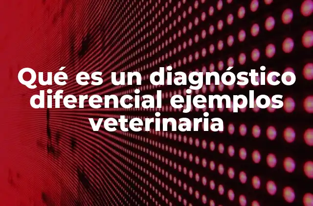 Qué es un Diagnóstico Diferencial Ejemplos Veterinaria