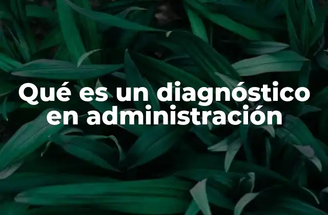 Qué es un Diagnóstico en Administración
