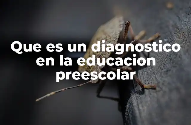 Que es un Diagnostico en la Educacion Preescolar