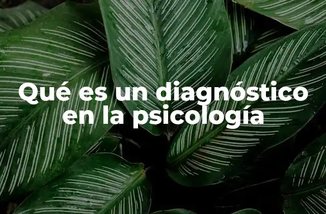 Qué es un Diagnóstico en la Psicología