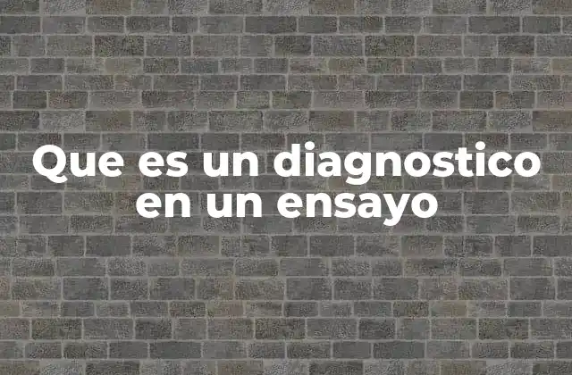 Que es un Diagnostico en un Ensayo