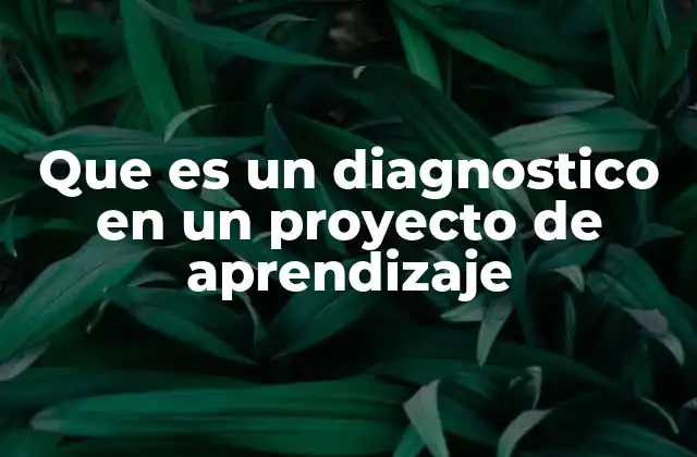 Que es un Diagnostico en un Proyecto de Aprendizaje