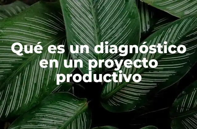 Qué es un Diagnóstico en un Proyecto Productivo