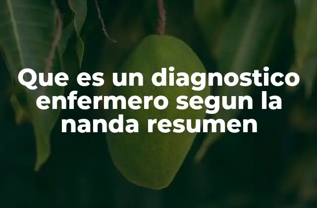 Que es un Diagnostico Enfermero Segun la Nanda Resumen