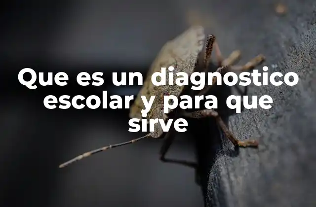 La importancia de evaluar a los estudiantes antes de diseñar estrategias pedagógicas