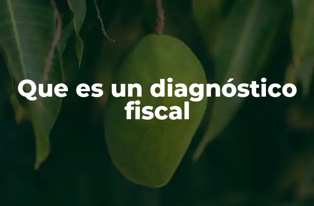 Que es un Diagnóstico Fiscal