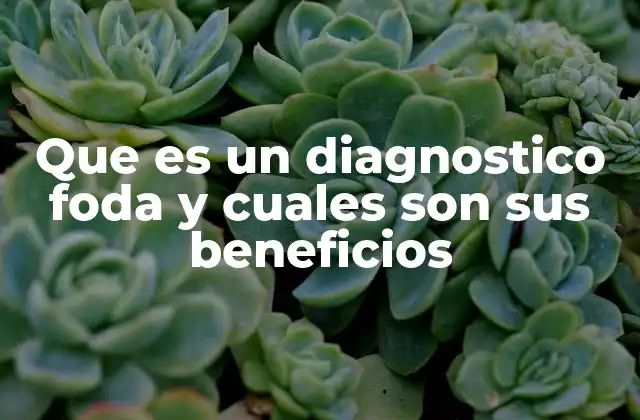 Que es un Diagnostico Foda y Cuales Son Sus Beneficios