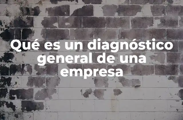 Qué es un Diagnóstico General de una Empresa