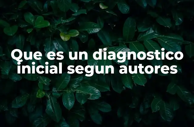 Que es un Diagnostico Inicial Segun Autores