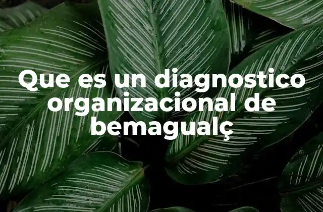 Que es un Diagnostico Organizacional de Bemagualç 2 El rol del análisis interno en el éxito empresarial