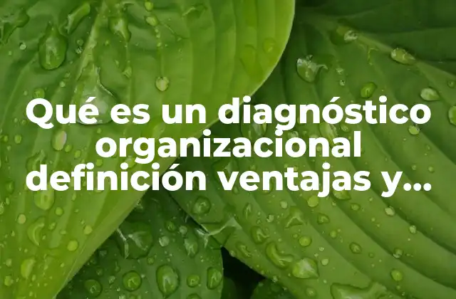 Qué es un Diagnóstico Organizacional Definición Ventajas y Beneficios
