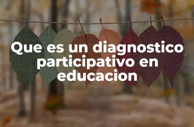 Que es un Diagnostico Participativo en Educacion