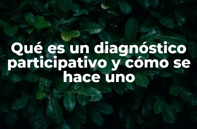 Qué es un Diagnóstico Participativo y Cómo Se Hace Uno