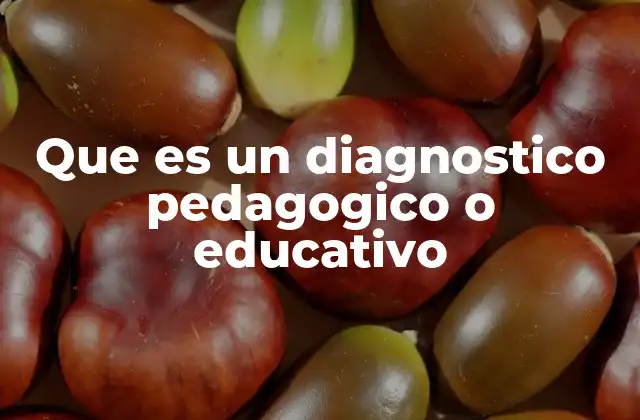 Que es un Diagnostico Pedagogico o Educativo