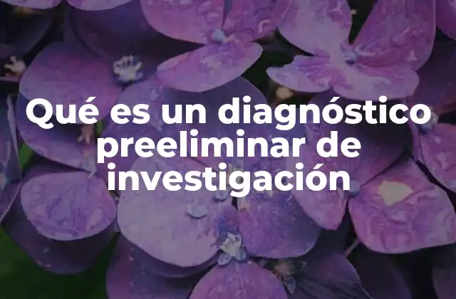Qué es un Diagnóstico Preeliminar de Investigación