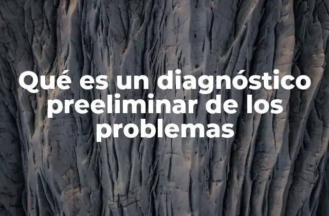Qué es un Diagnóstico Preeliminar de los Problemas
