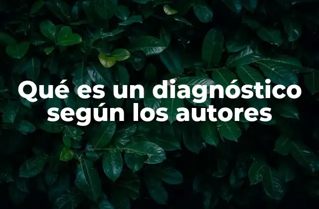 Qué es un Diagnóstico según los Autores 2 La importancia del diagnóstico en diferentes contextos