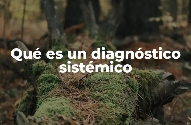 Qué es un Diagnóstico Sistémico