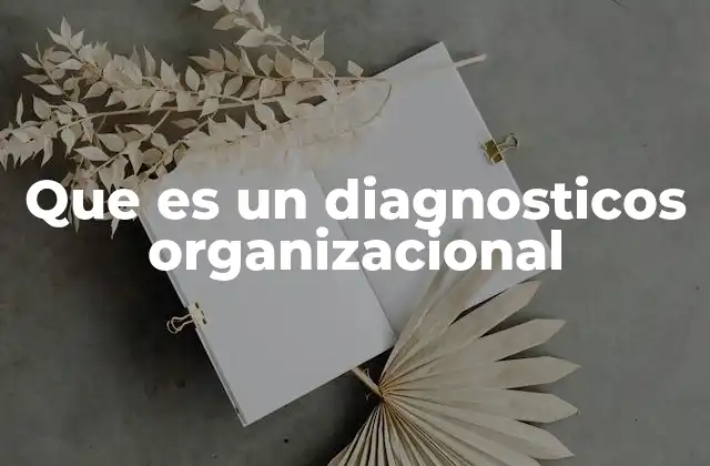 Que es un Diagnosticos Organizacional