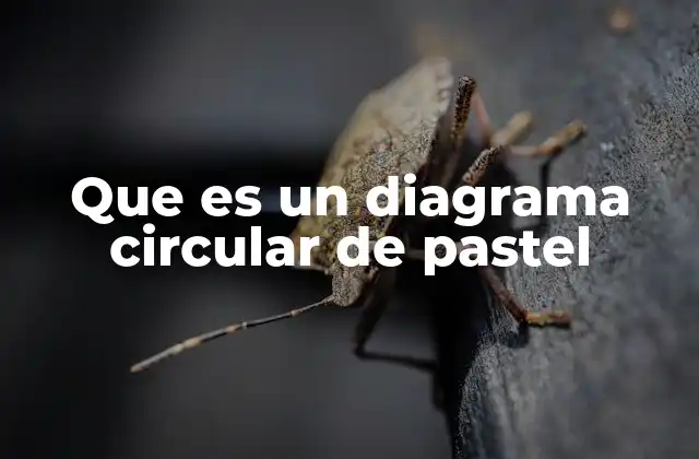 Que es un Diagrama Circular de Pastel