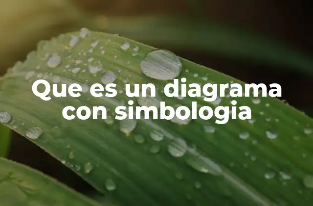 Que es un Diagrama con Simbologia