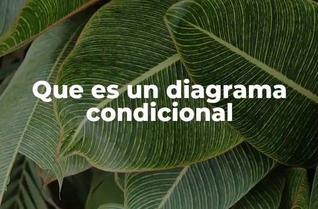 Que es un Diagrama Condicional