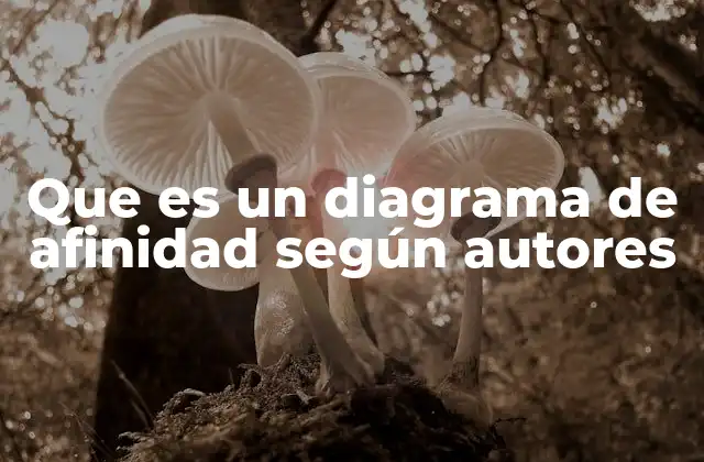 Que es un Diagrama de Afinidad según Autores