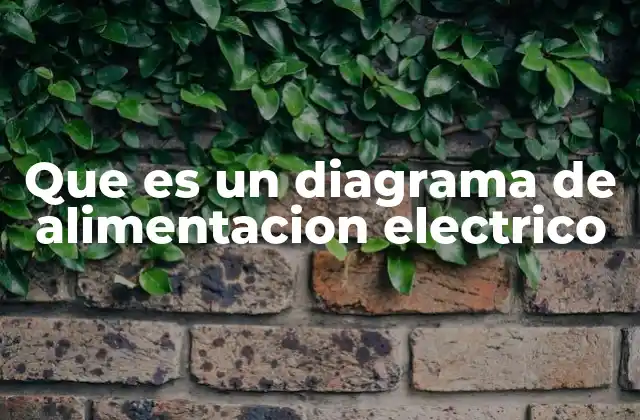 Que es un Diagrama de Alimentacion Electrico