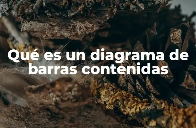 Qué es un Diagrama de Barras Contenidas