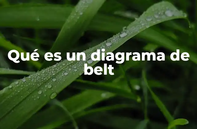 Qué es un Diagrama de Belt