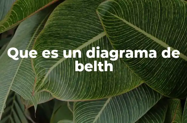 Que es un Diagrama de Belth