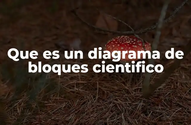 Que es un Diagrama de Bloques Cientifico
