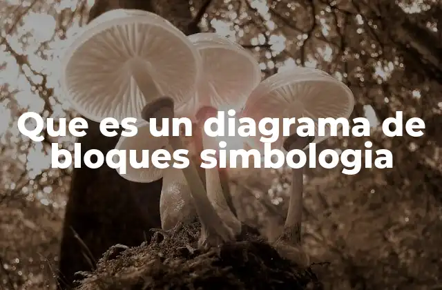 Que es un Diagrama de Bloques Simbologia