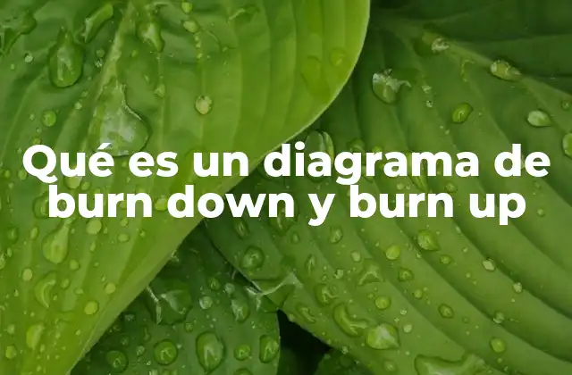 Qué es un Diagrama de Burn Down y Burn Up