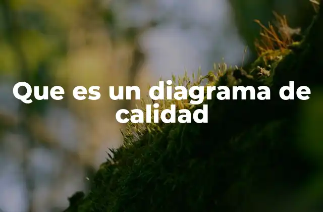Que es un Diagrama de Calidad