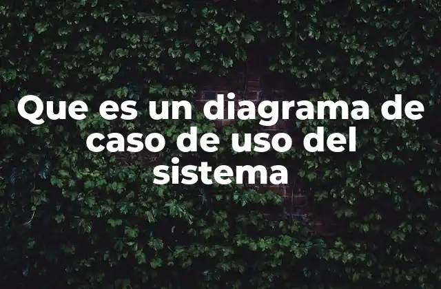 Que es un Diagrama de Caso de Uso Del Sistema