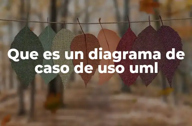 Que es un Diagrama de Caso de Uso Uml