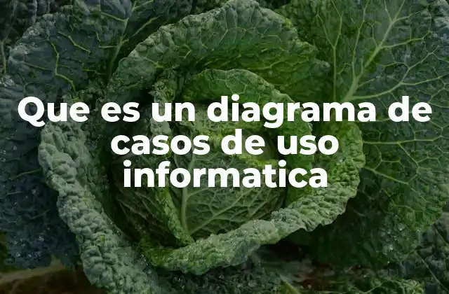 Que es un Diagrama de Casos de Uso Informatica