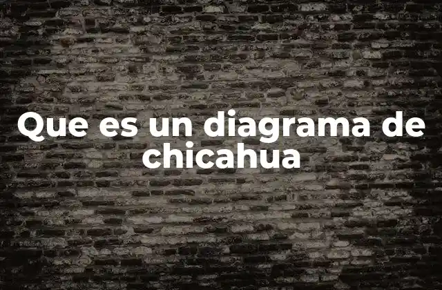 Que es un Diagrama de Chicahua